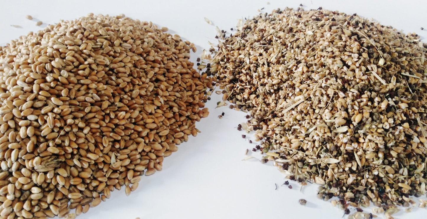 Cerpur CP1 Vibrating Screen Air Aspirated Grain Cleaner