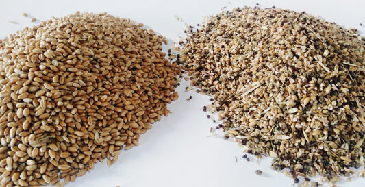 Cerpur CP1 Vibrating Screen Air Aspirated Grain Cleaner