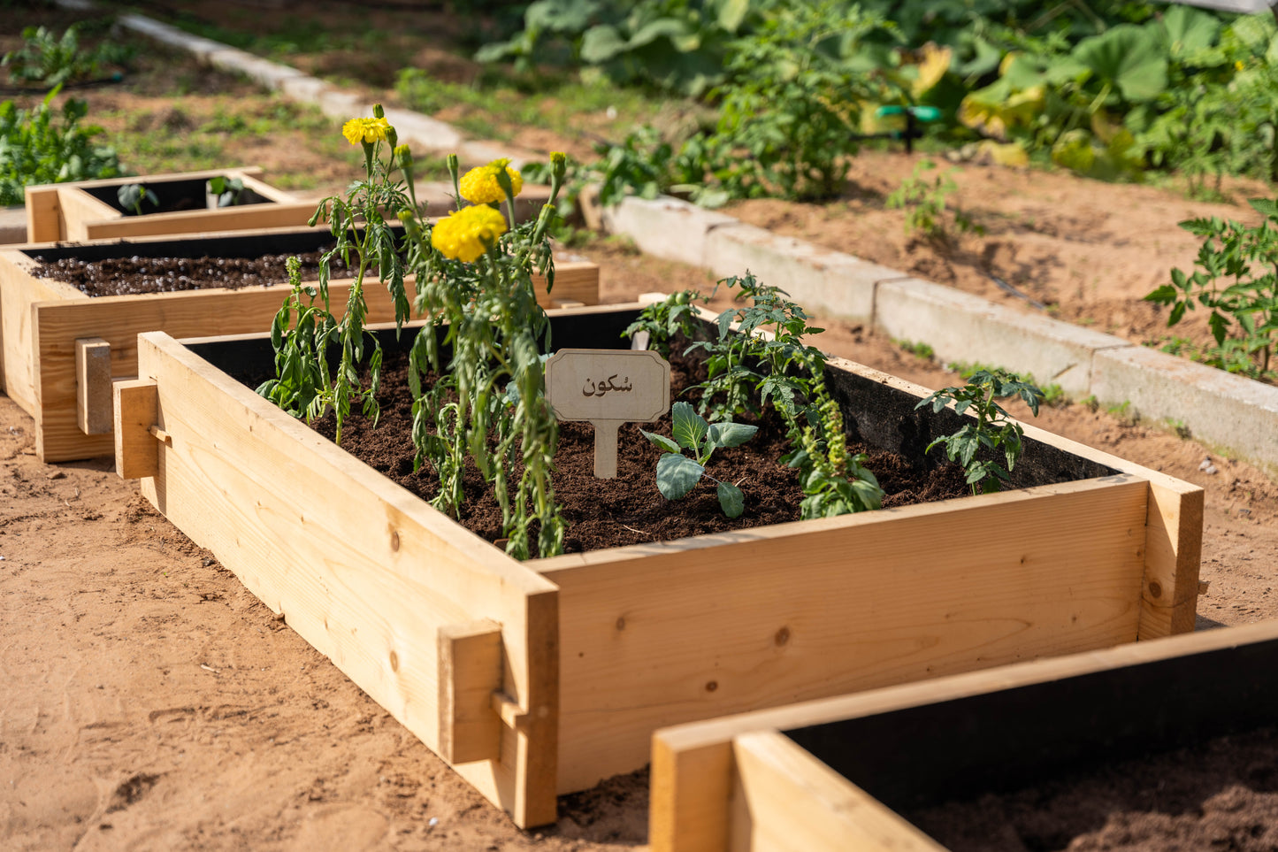 Raised Bed