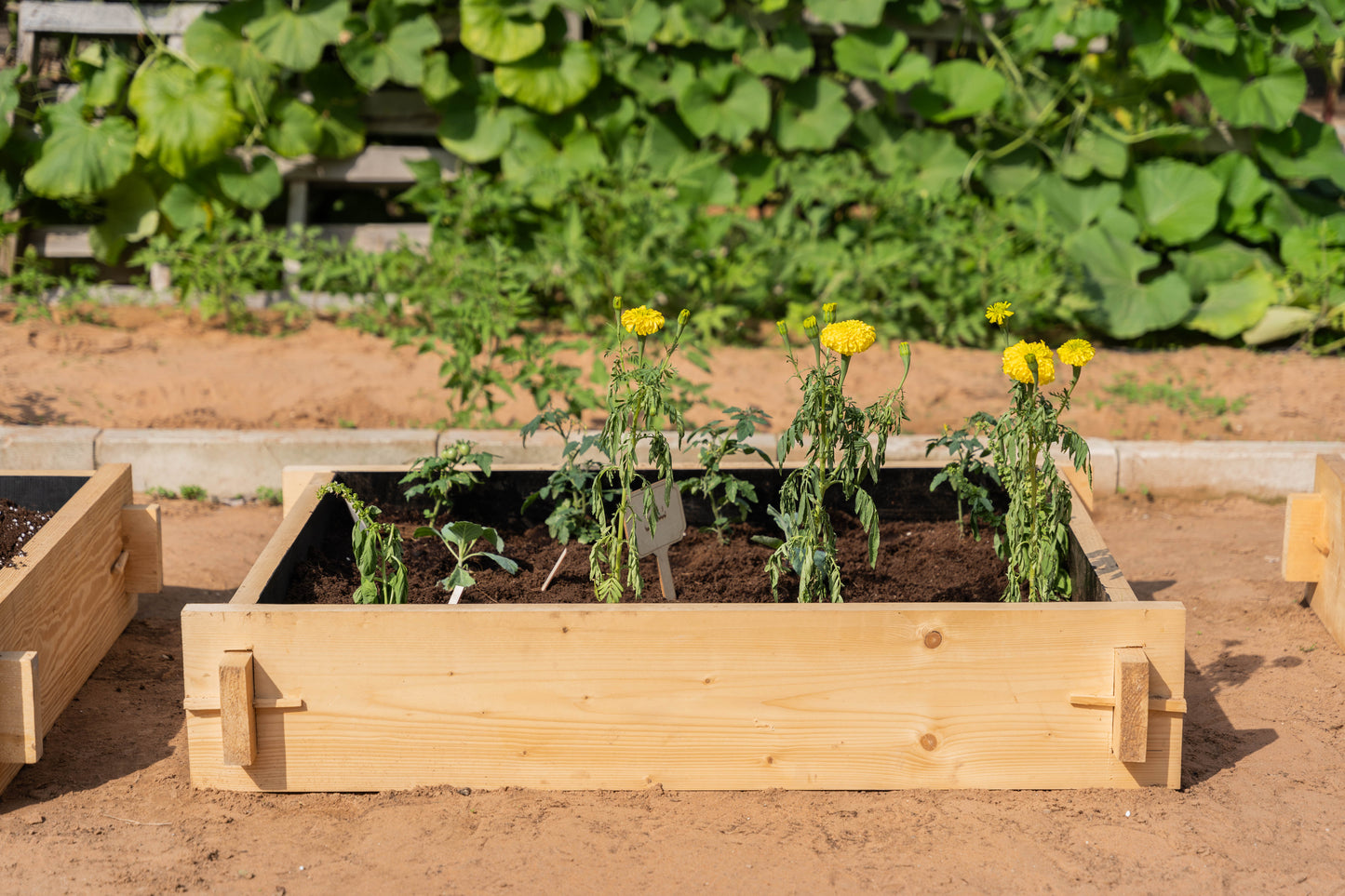 Raised Bed